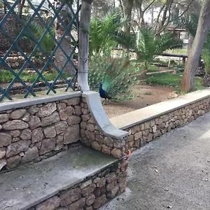 16 Quarto em Acomodações Particulares Porto Santo